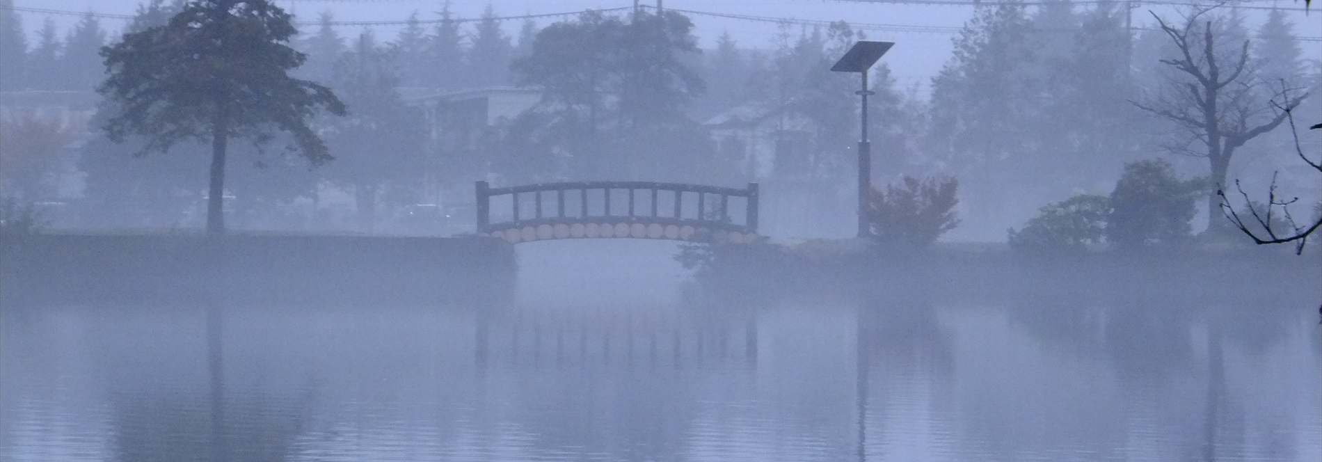 大島公園西自治会