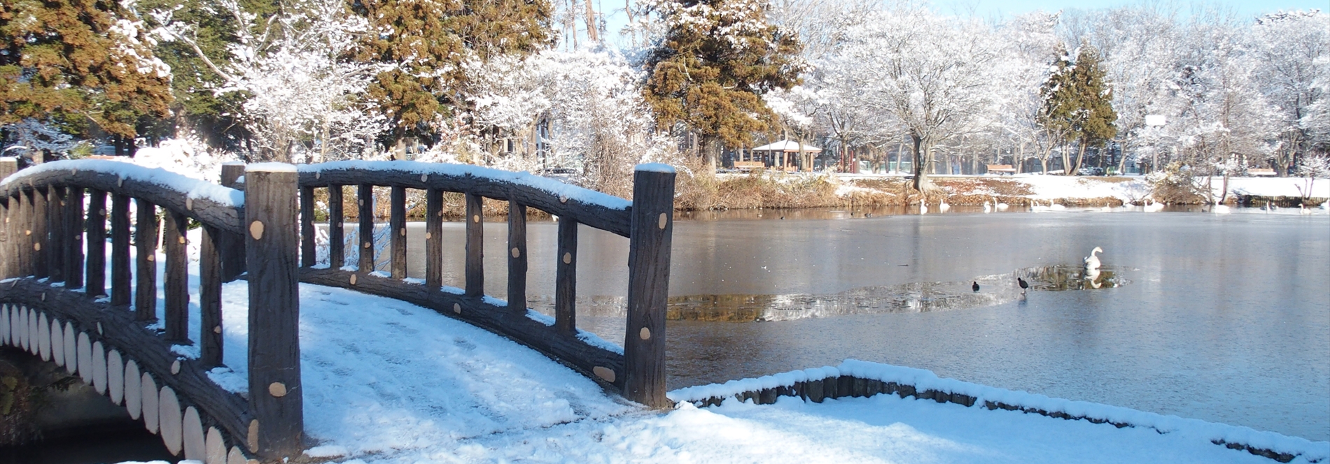 大島公園西自治会